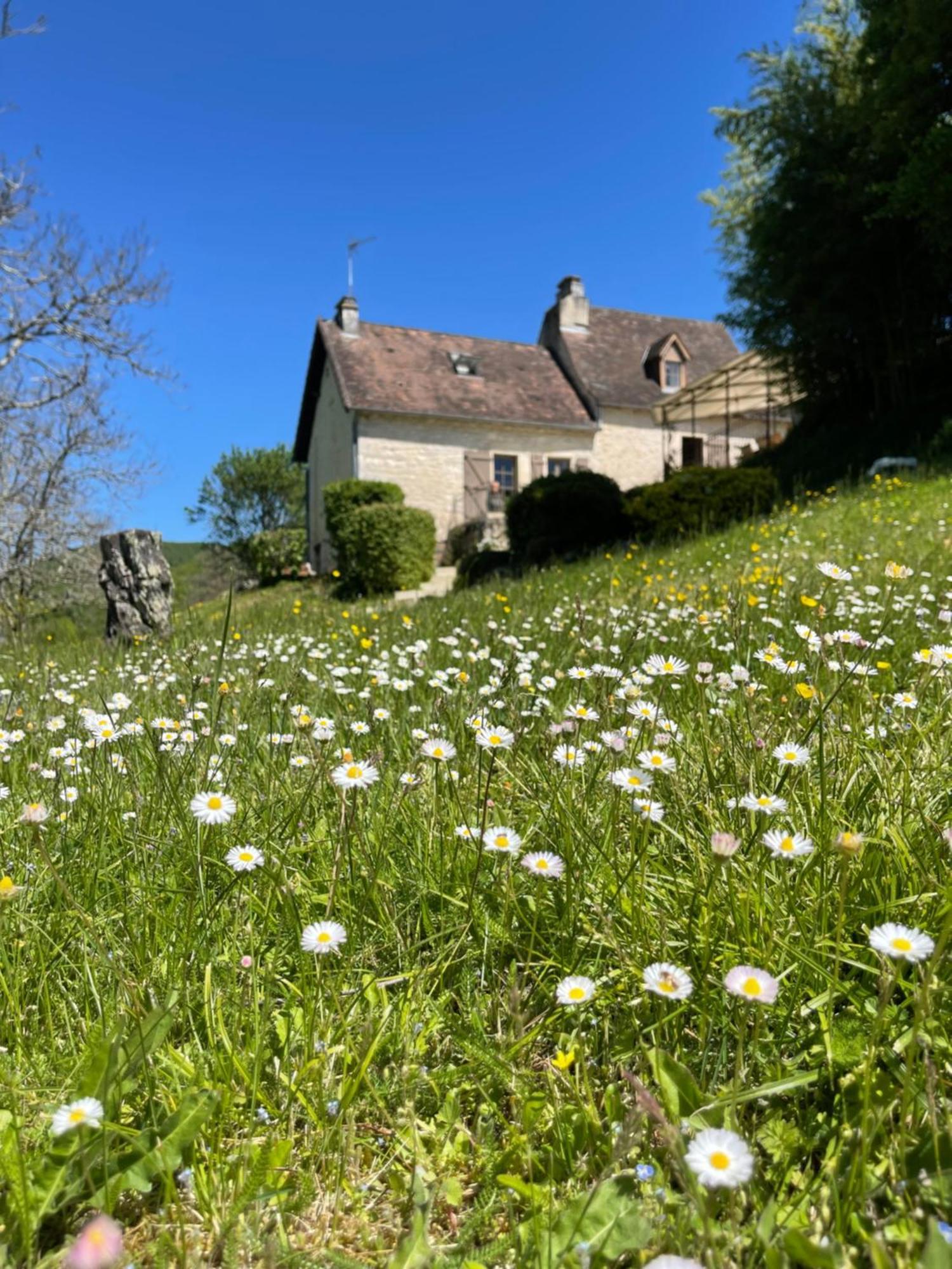 Domaine Du Bonheur En Pierre Avec Piscine, Proche Sarlat Villa Carlux Bagian luar foto